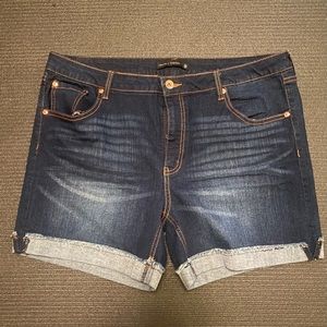 Truth Theory Jean Shorts Size 16